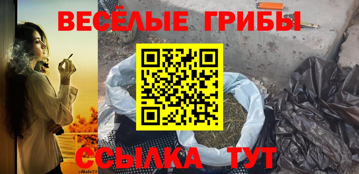 Галлюциногенные грибы Cubensis  Вход с VPN  Полевской 